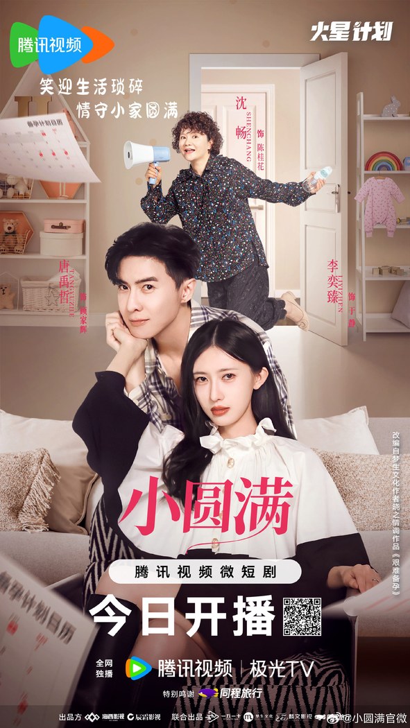 My Little Perfection poster