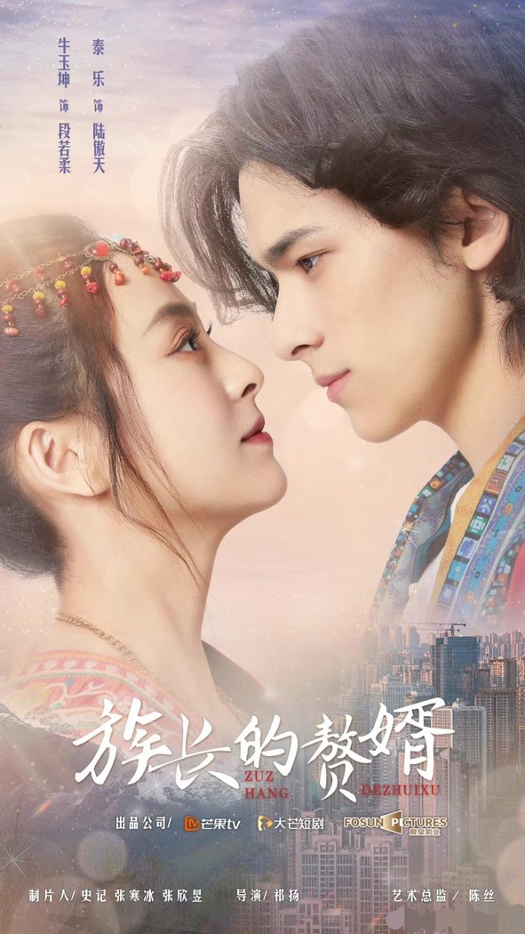 My Matrilocal Husband poster