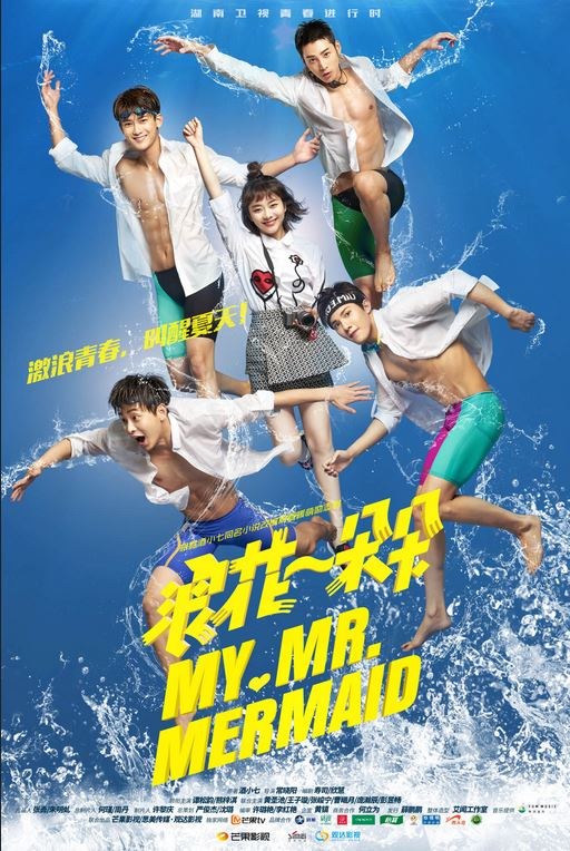 My Mr. Mermaid poster