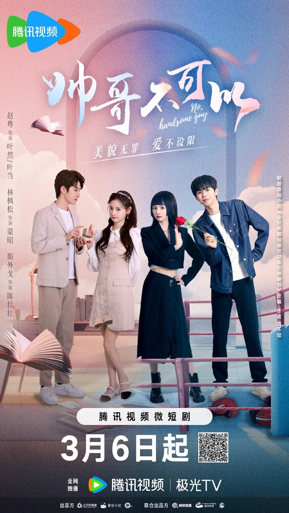 No, Handsome Guy poster