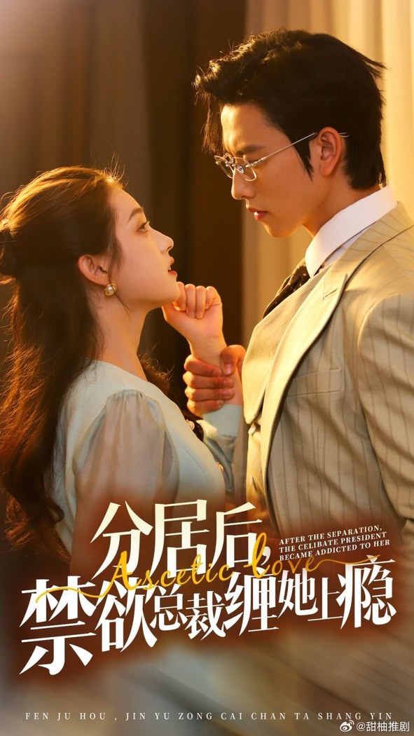 Obsession after Separation poster