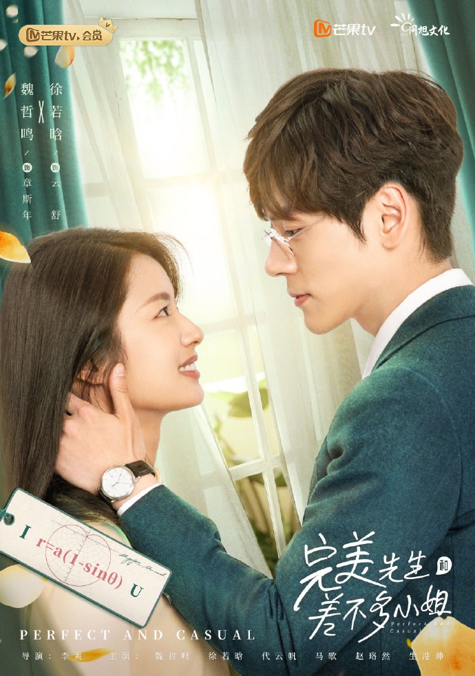 Perfect and Casual poster