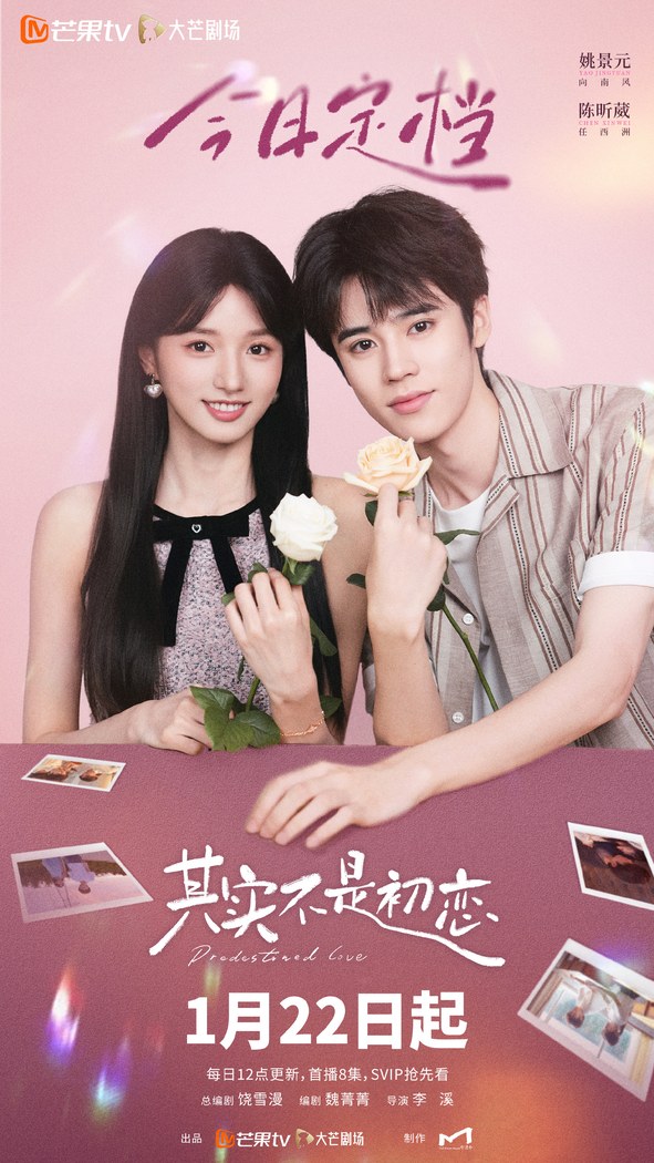 Predestined Love poster