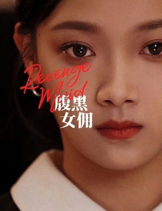 Revenge Maid poster