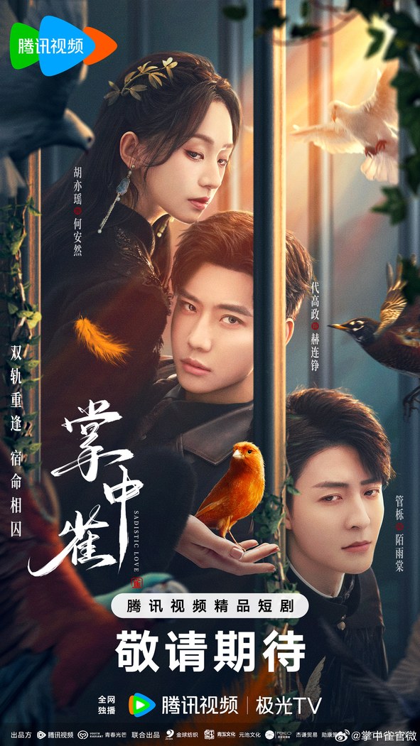 Sadistic Love poster