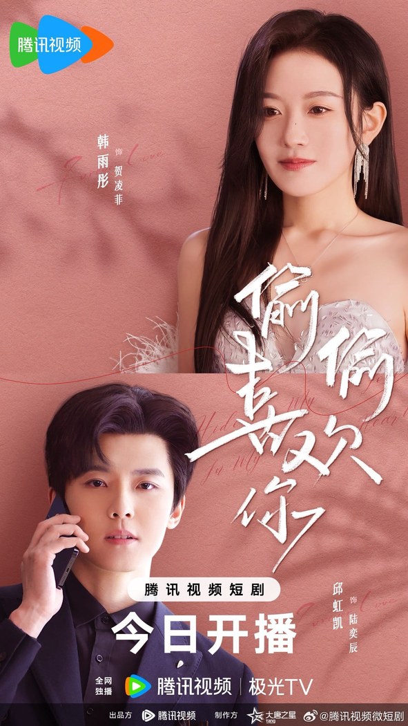 Secretly Loving You poster