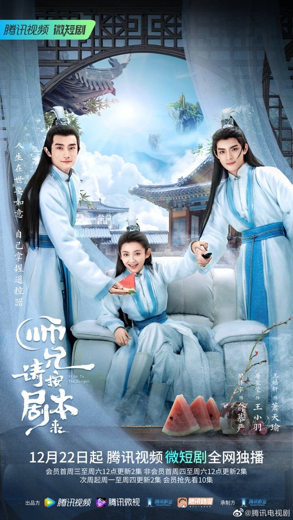 Stick to the Script poster