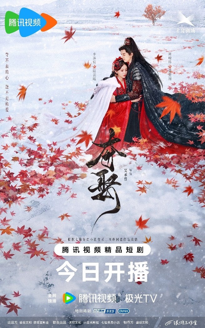 Stolen Love poster