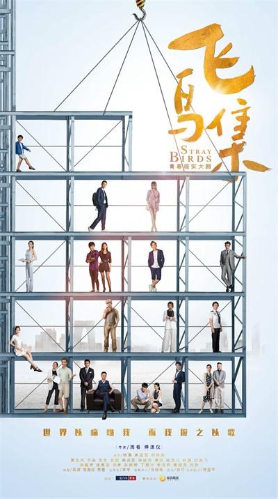Stray Birds poster