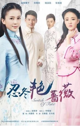 Switch of Fate poster