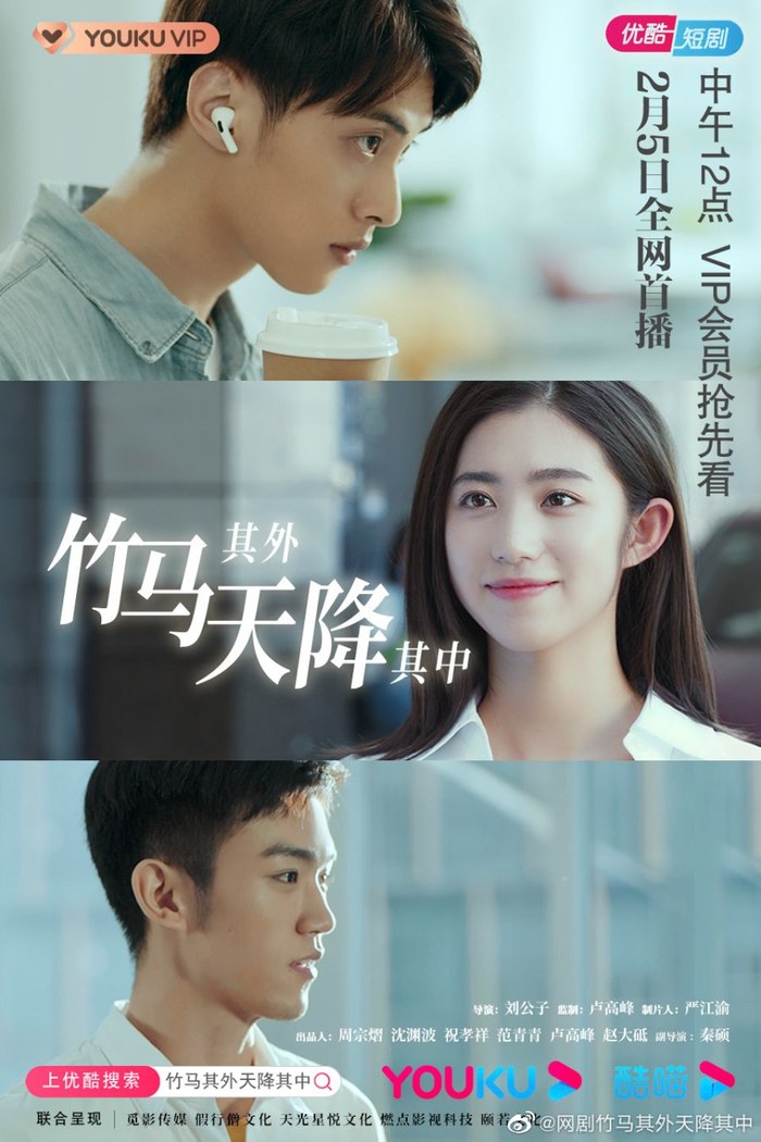 The Bamboo Horse Falls Into the Sky poster