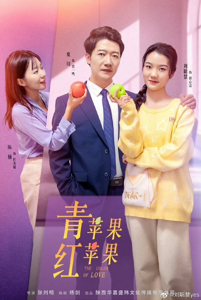 The Color of Love poster