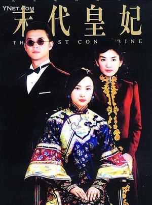 The Last Concubine poster