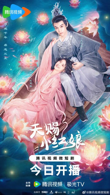The Little Red Matchmaker poster