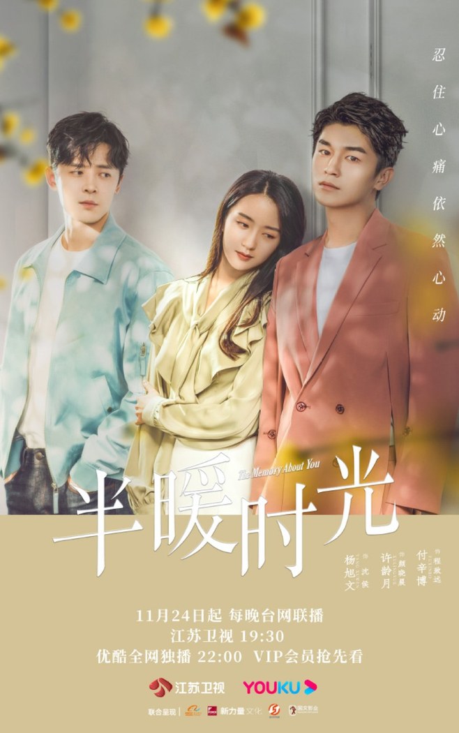The Memory About You poster
