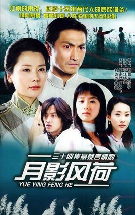 The Moon and the Wind poster