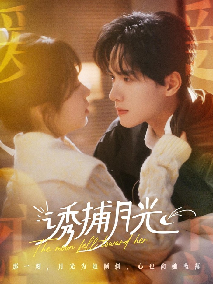 The Moon Fell Toward Her poster