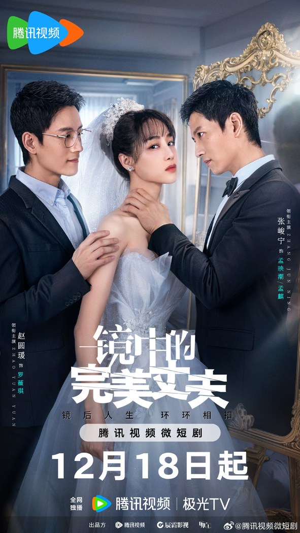 The Perfect Husband in the Mirror poster