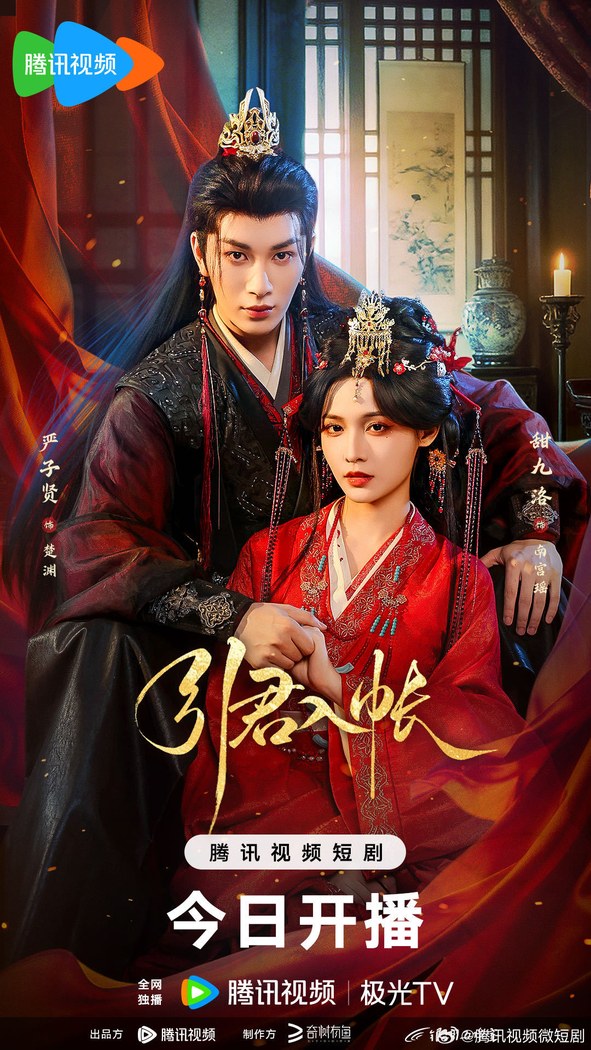 The Princess's Snare poster
