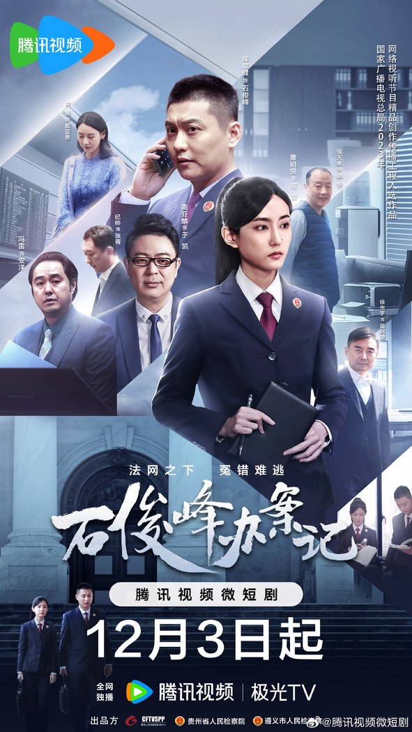 The Prosecutor and His Cases poster