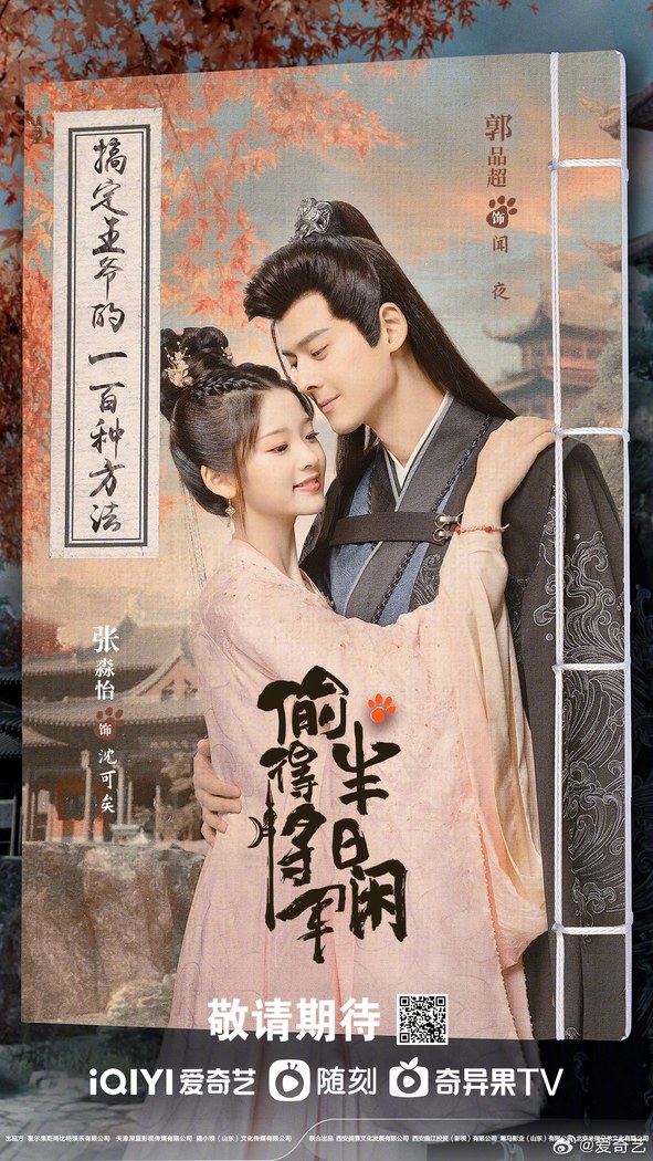 The Substitute Princess's Love poster