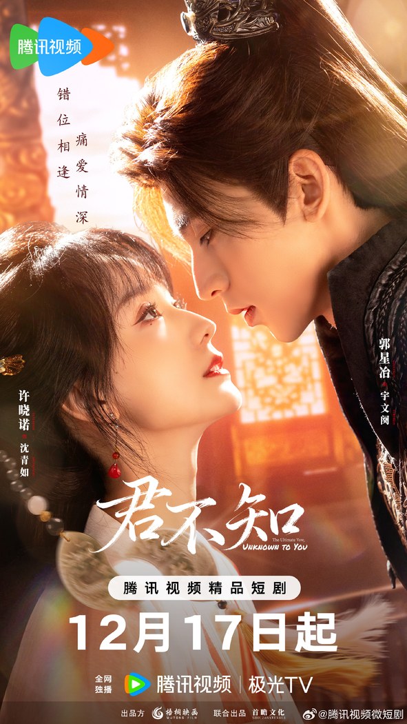The Ultimate Vow, Unknown to You poster