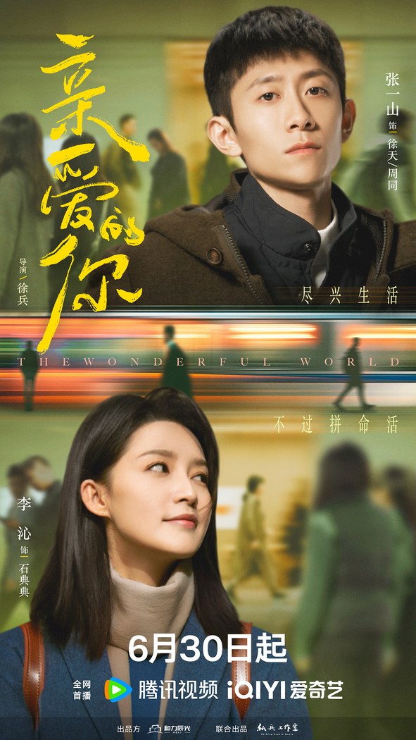 The Wonderful World poster