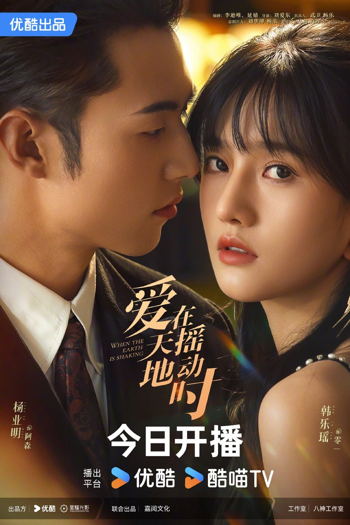 Undercover Affair poster