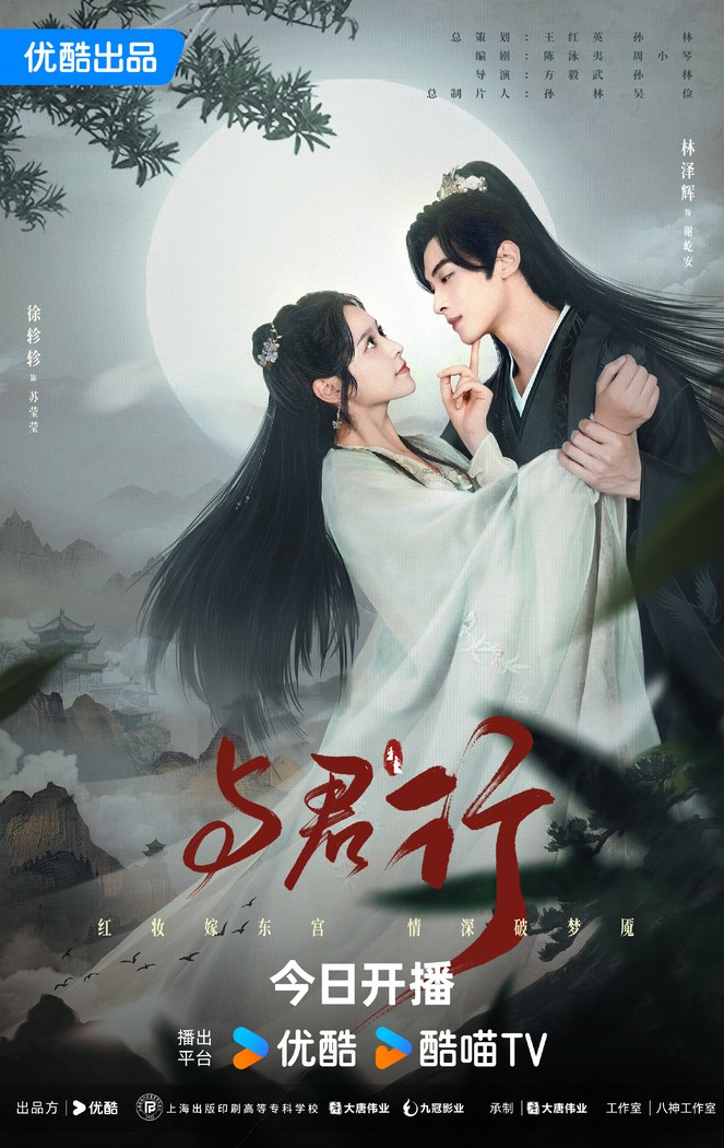 Walk with You poster