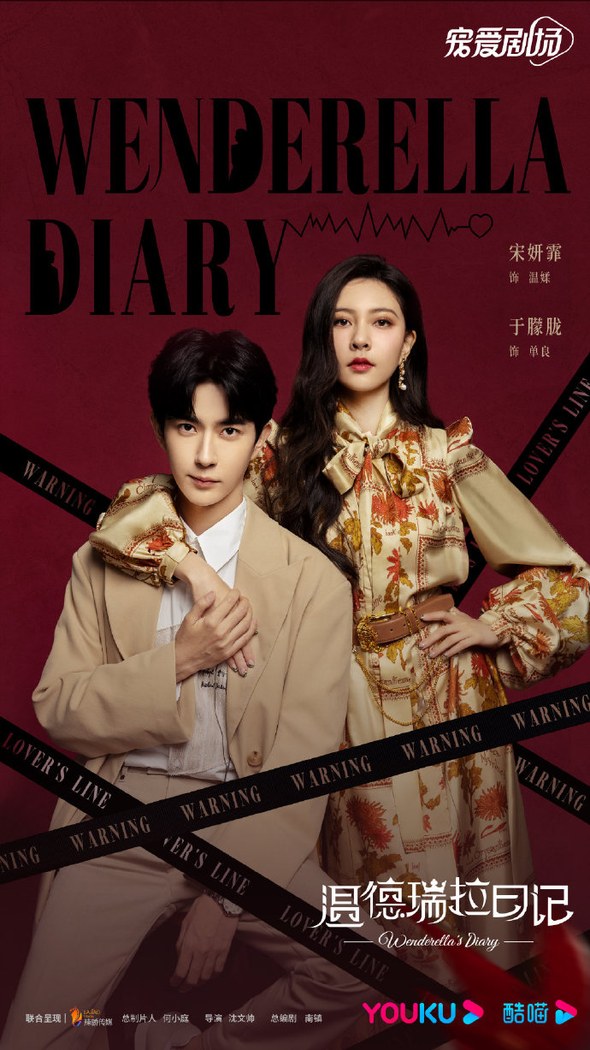 Wenderella's Diary poster