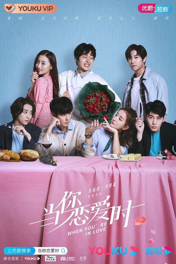 When You're In Love poster