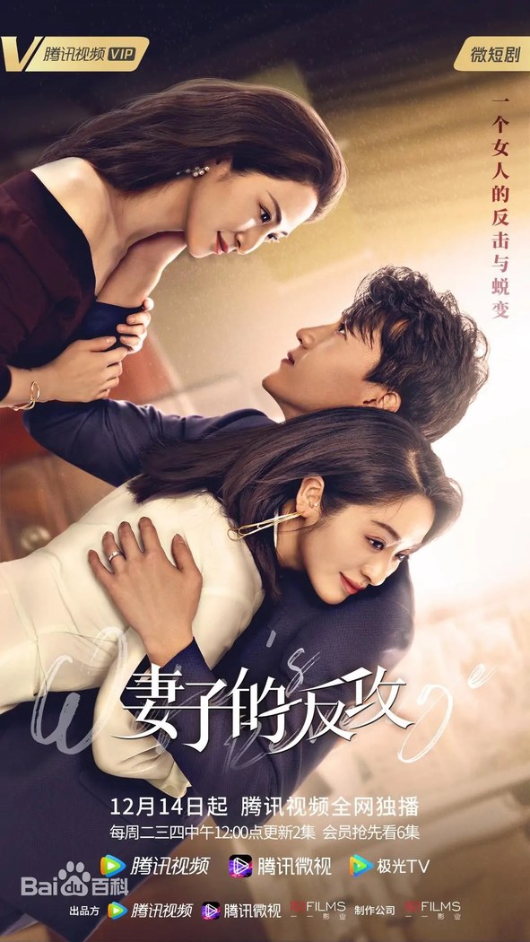 Wife's Revenge poster