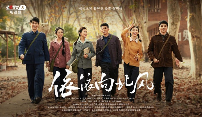 *Genre: Period, Drama poster