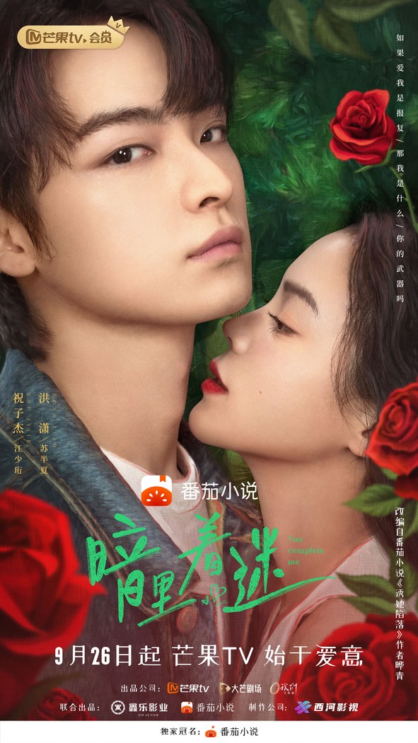 You Complete Me poster