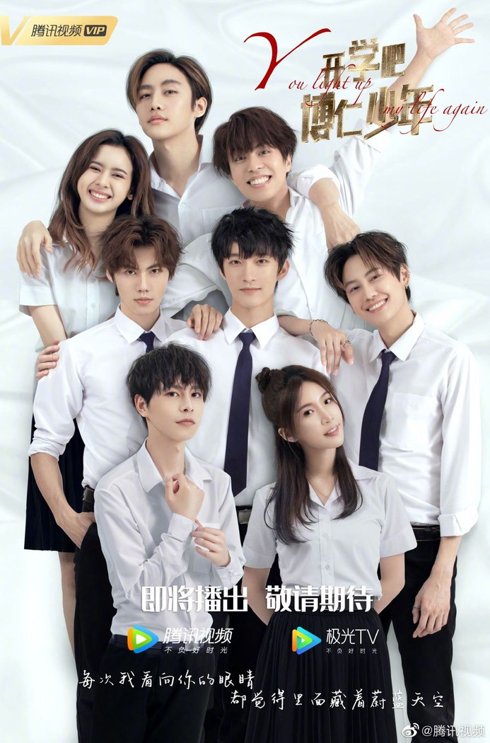 You Light Up My Life Again poster