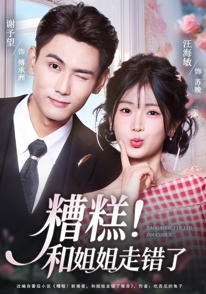 Abnormal Trial Marriage poster