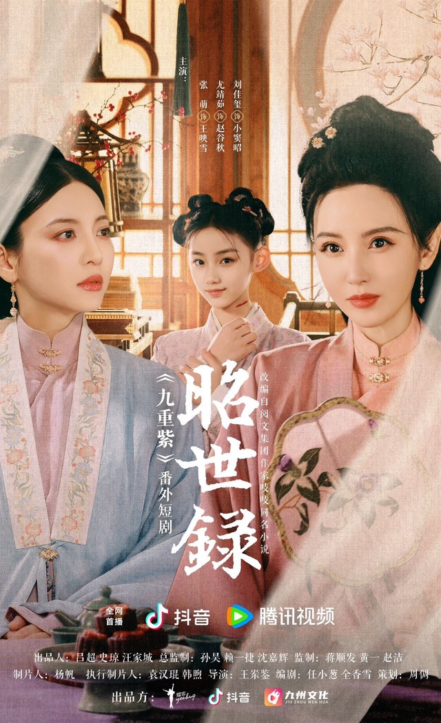 Zhao Shi Lu poster