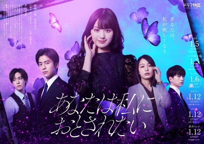 あなたは私におとされたい poster