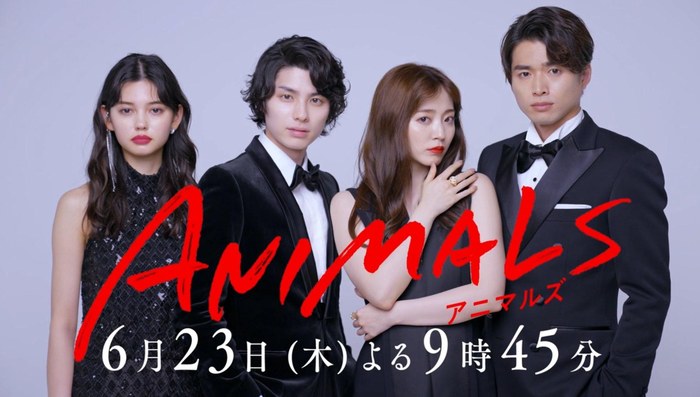 ANIMALS‐アニマルズ‐ poster