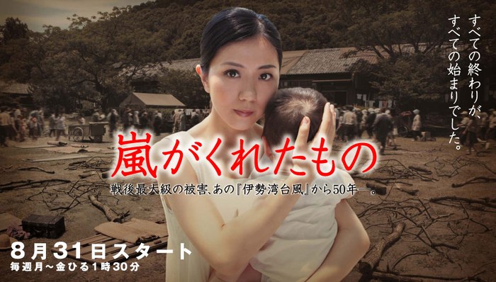嵐がくれたもの poster