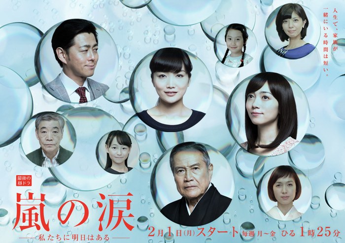 嵐の涙 poster