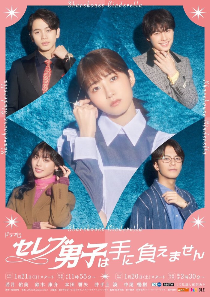 Celebrity Boys Are Untouchable / Sharehouse Cinderella poster