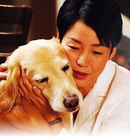 ディロン~運命の犬 (うんめい の いぬ) poster