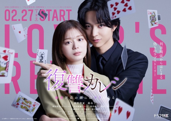 Revenge Boyfriend / Lover's Revenge poster