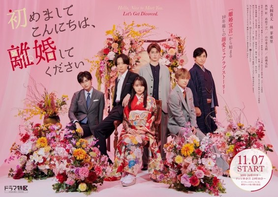 Hello, Nice to Meet You, Let's Get Divorced. poster
