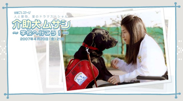 介助犬ムサシ poster