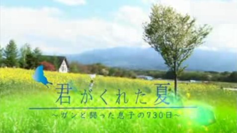 君がくれた夏 poster