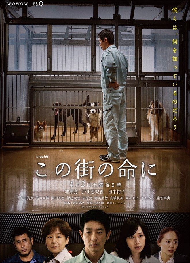 Through Their Eyes poster