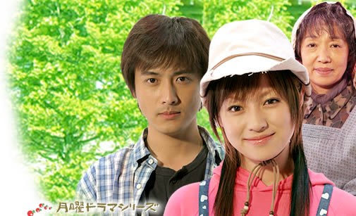 農家のヨメになりたい poster