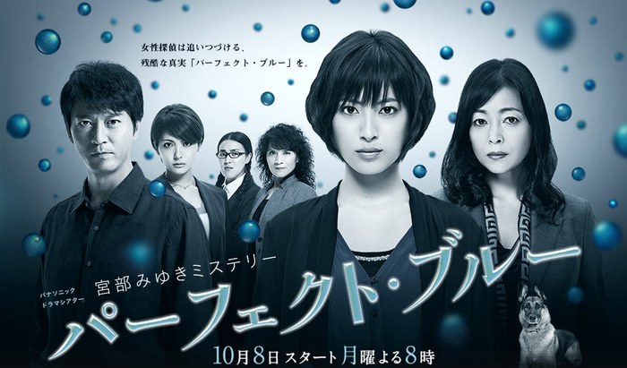 宮部みゆきミステリー「パーフェクト・ブルー」 poster
